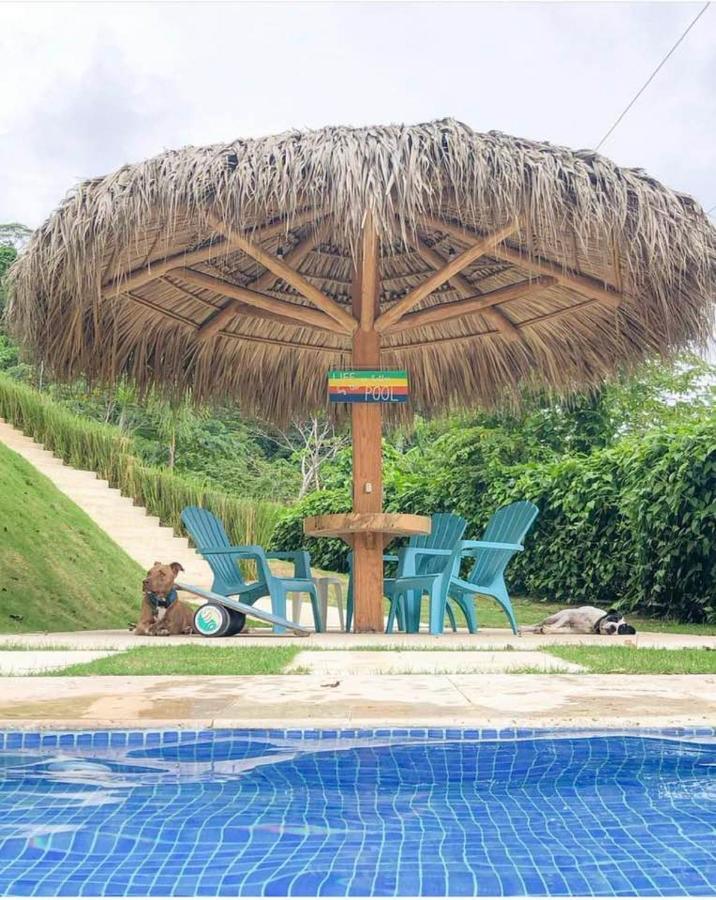 Dali Boutique Apartments Playa Santa Teresa  外观 照片